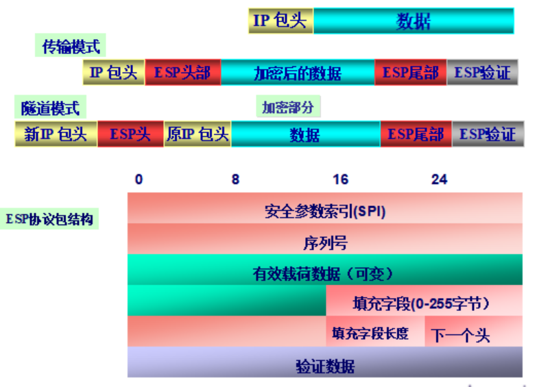 c8738f4d41724d6ca80a0869df9b01f8~noop.image?_iz=58558&from=article.pc_detail&lk3s=953192f4&x-expires=1717769569&x-signature=mlxqejhasEP%2BUrFLXMuQhtbN9UY%3D