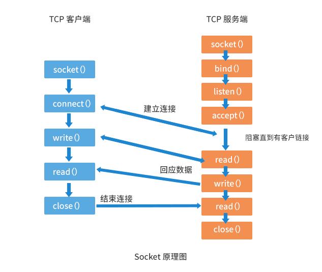 13166809e30e495eb331e9889cf0c896~noop.image?_iz=58558&from=article.pc_detail&lk3s=953192f4&x-expires=1717822231&x-signature=3JwQjkd6eUgO2jzvxzEVPbdTtnc%3D