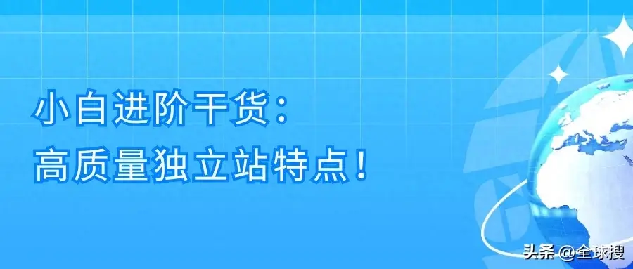 近年火爆外贸行业的独立站如何布局？