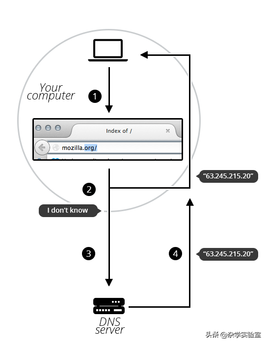 网速杀手  DNS