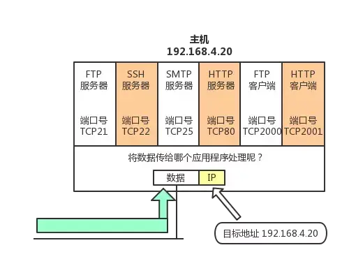 太厉害了，终于有人能把TCP/IP 协议讲的明明白白了